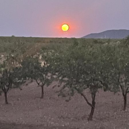 Cortijo Calma - Countryside Peace & Tranquility Apartment Oria Exterior foto