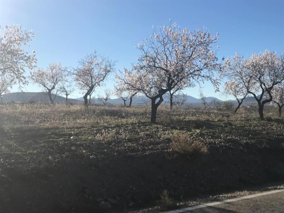 Cortijo Calma - Countryside Peace & Tranquility Apartment Oria Exterior foto